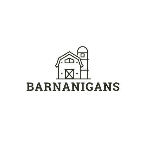 Barnanigans